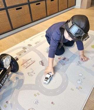 Little gem's roadmap