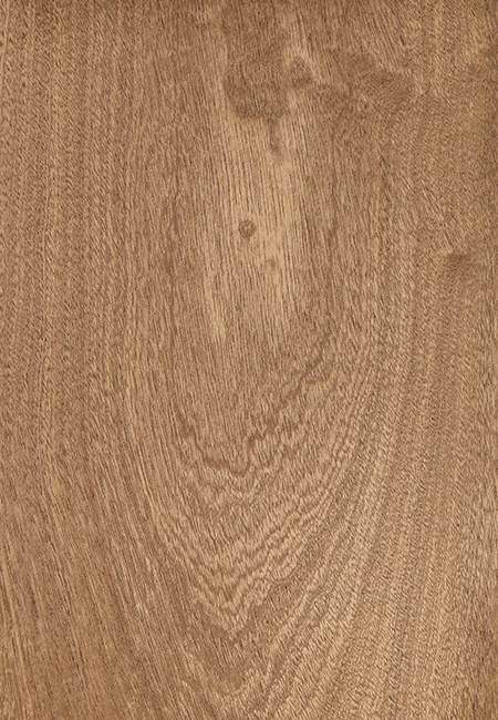 FINEER SAPELI - MAHONIE