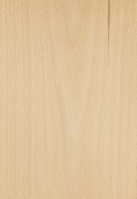 FINEER GESTOOMDE BEUK