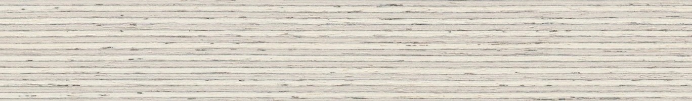 FINEER  BERK MULTIPLEX