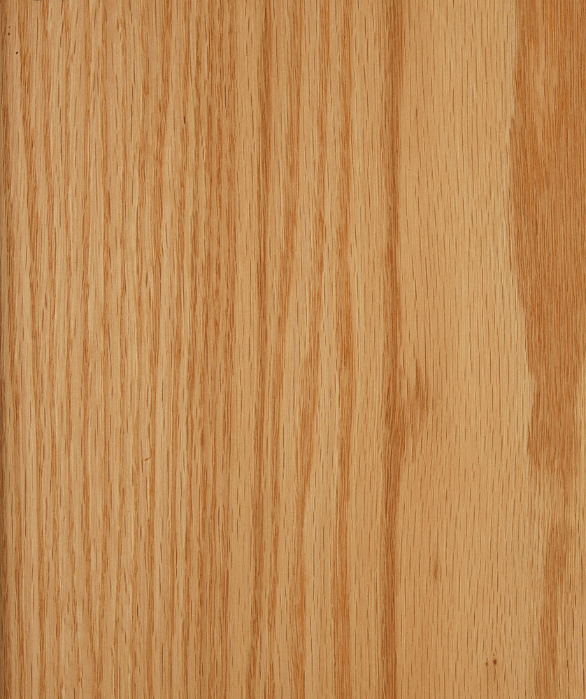 FINEER AMERIKAANSE EIK