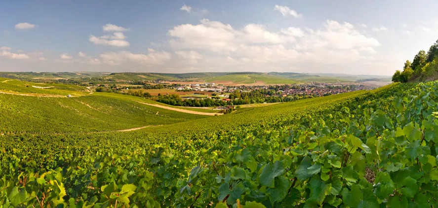 La Chablisienne