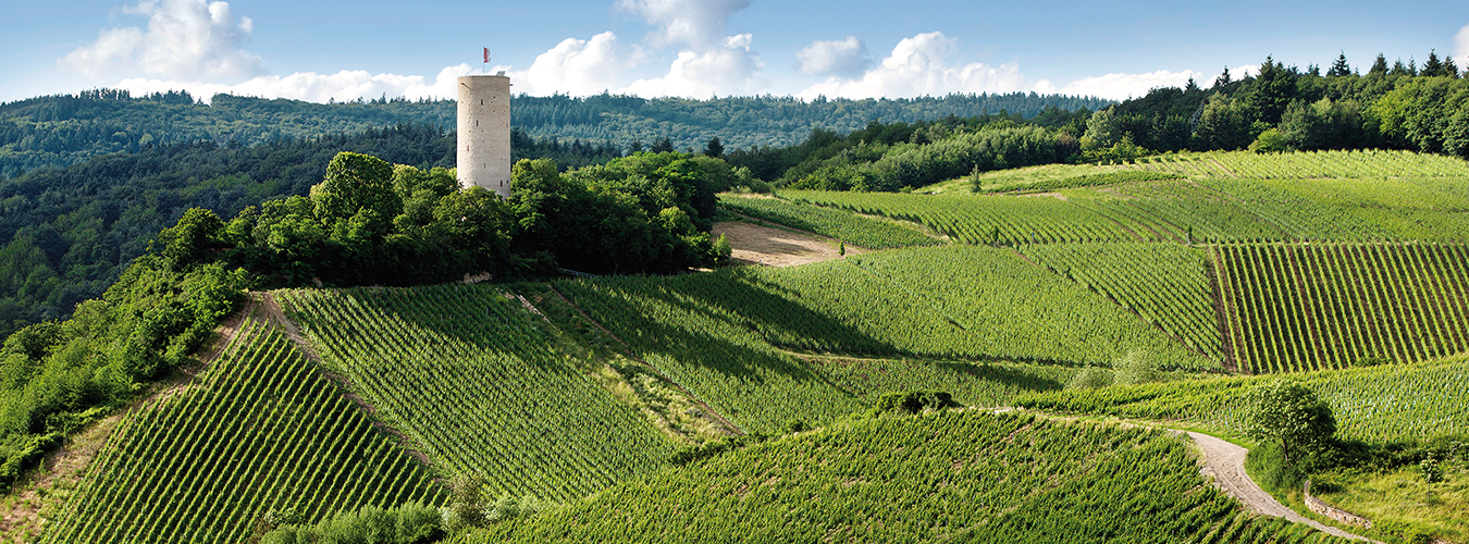 Weingut Robert Weil