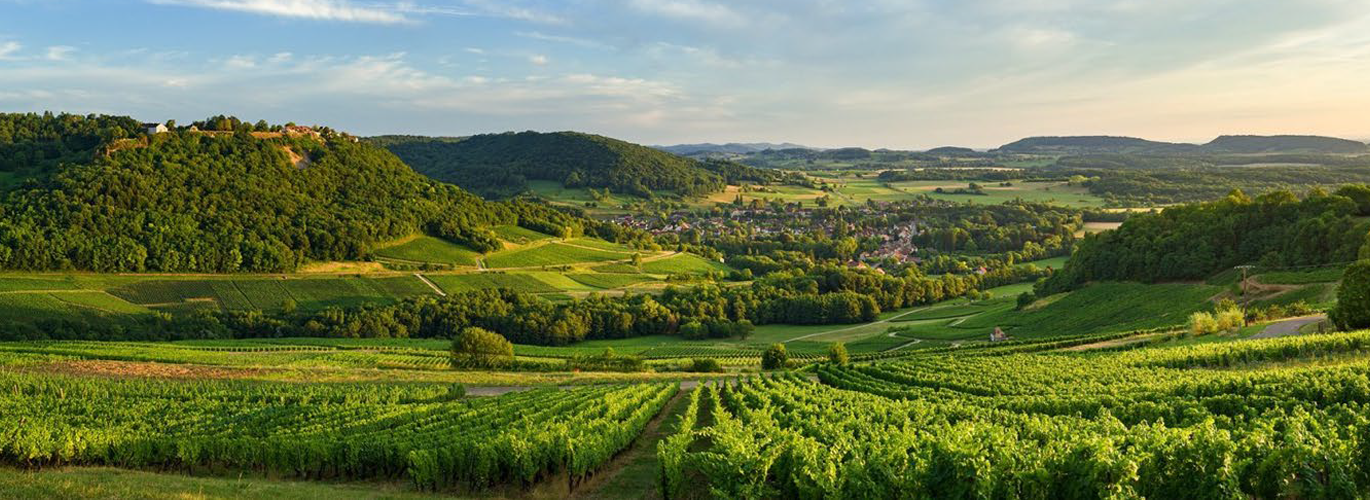 Domaine des Carlines