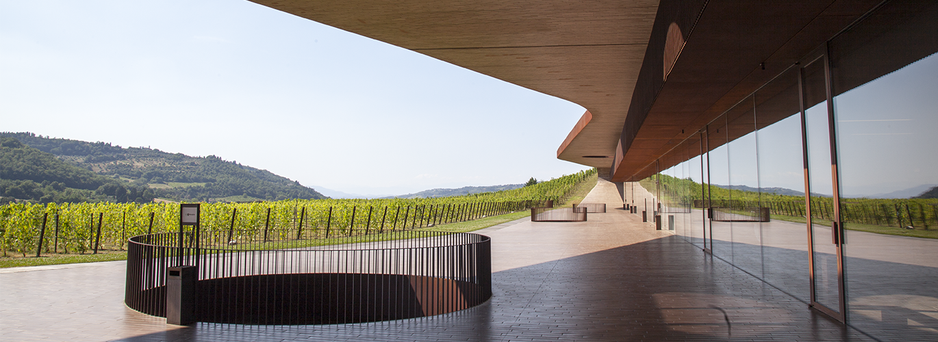 Bargino - Antinori