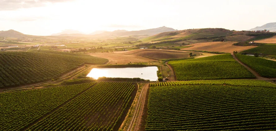 Tenuta Sallier de la Tour