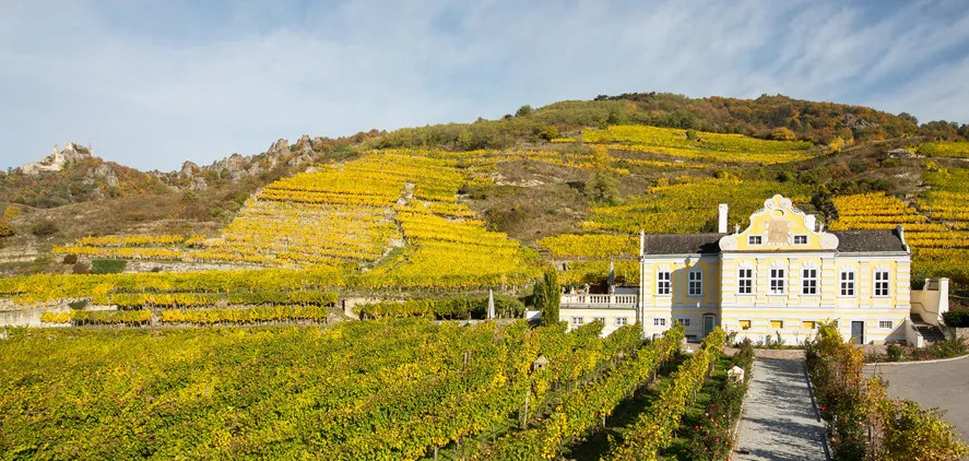 Domäne Wachau