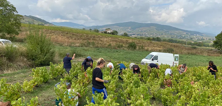 Domaine Blain Soeur & Frere