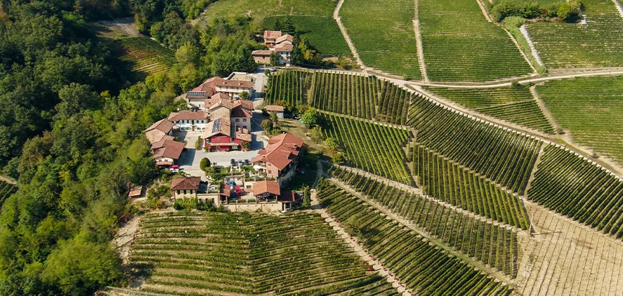 Gagliasso