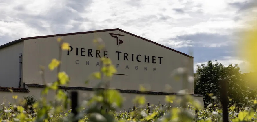 Pierre Trichet