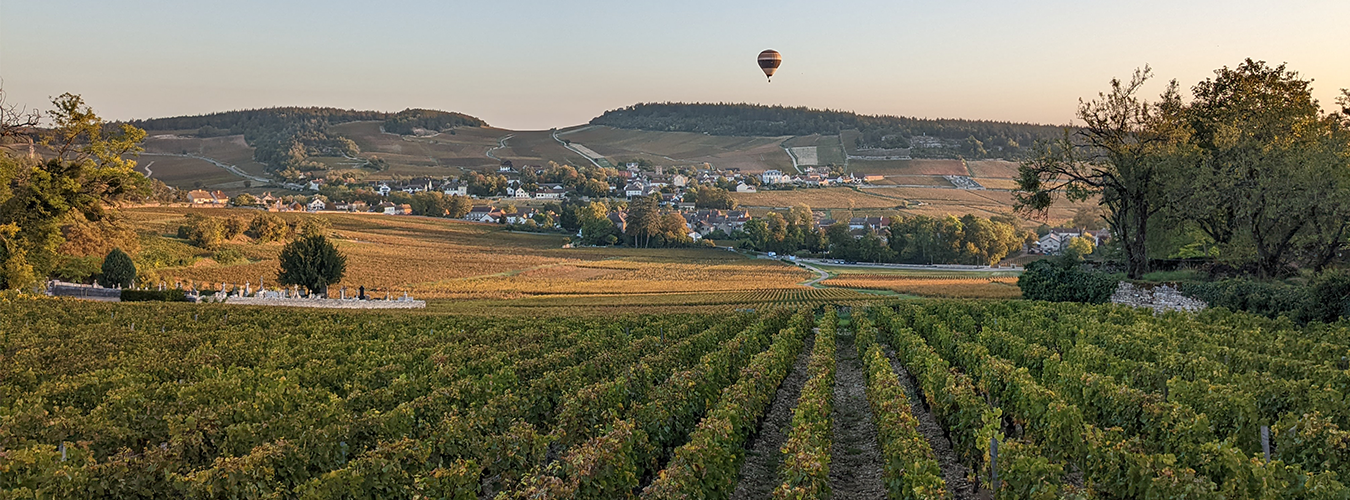 Domaine de la Monette