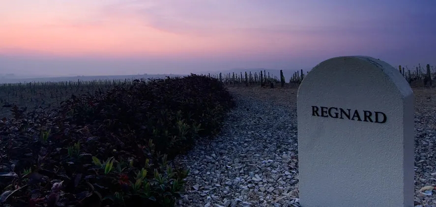 Régnard