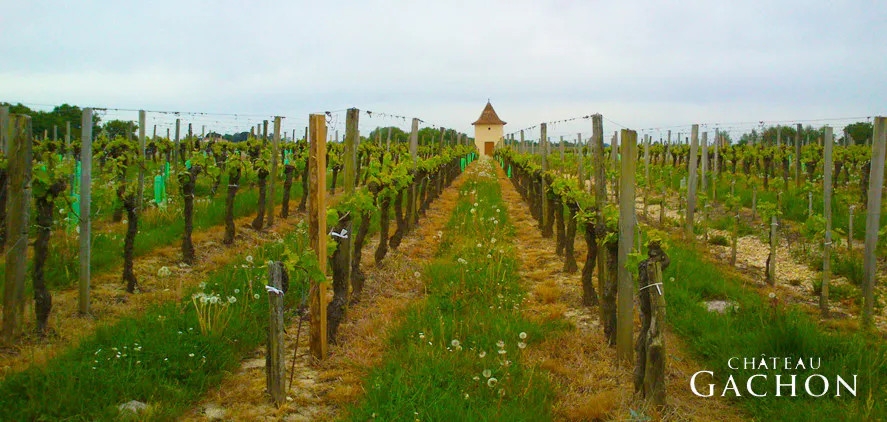 Château Gachon