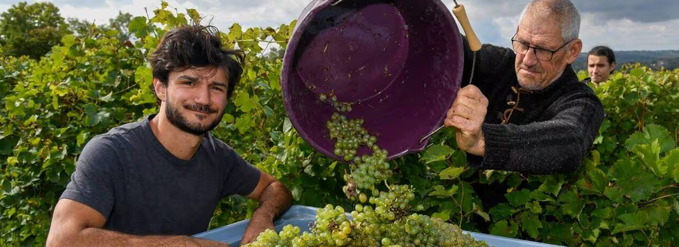 Domaine Payen