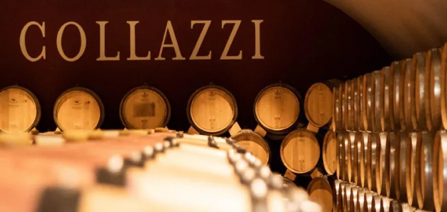 Collazzi