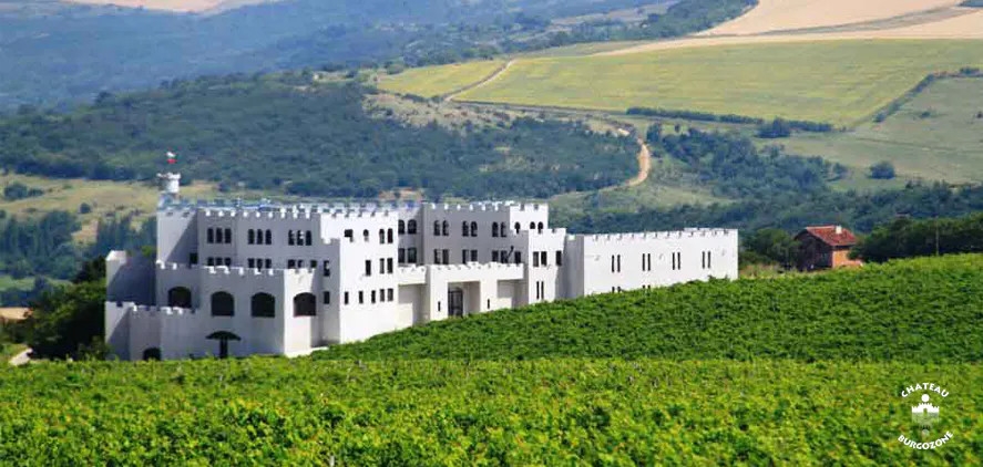 Château Burgozone