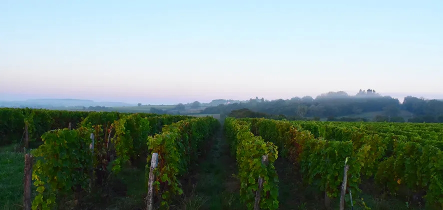 Domaine Chavet