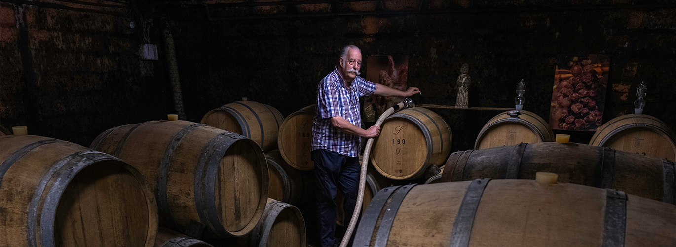 Domaine de Juchepie