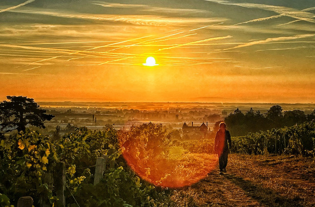 Clos des Rocs
