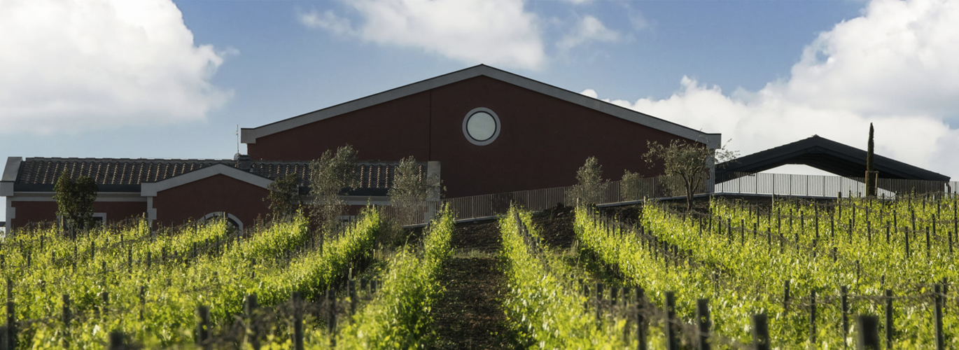 Tenuta Pian delle Vigne - Antinori