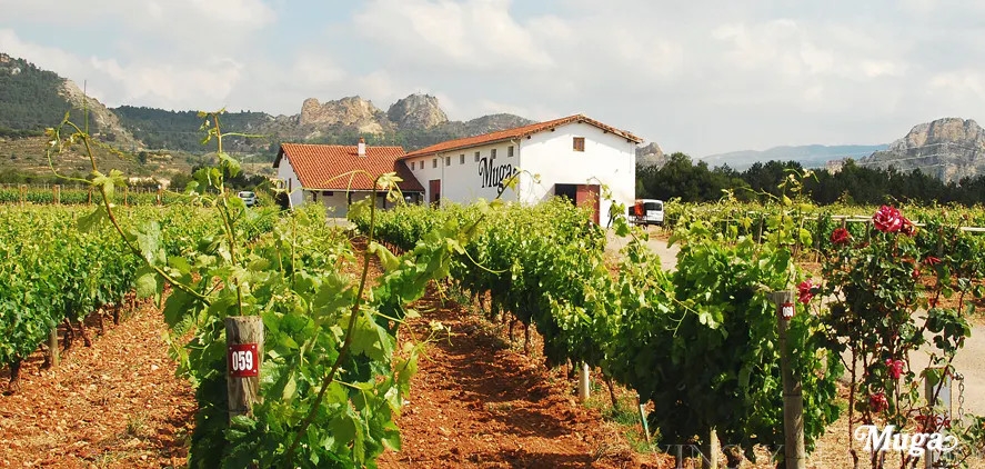 Dit is een foto van het wijndomein bodegas Muga in Rioja, Spanje.
